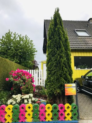 Möbliertes Haus 5 Zi, Wohnküche, Garten, Kamin kernsaniert