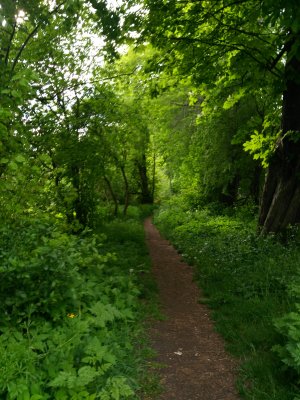 Gemütliche, helle kleine Wohnung für Einzelperson