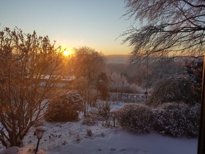 Traumhaus! Helles Einfamilienhaus mit großem Garten am Sommerwald, Pirmasens, Bestlage!