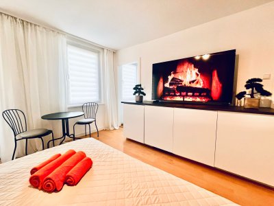 Möblierte, sanierte und zentral gelegene Wohnung zu vermieten