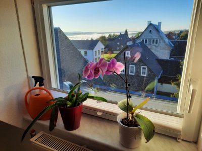 Charmante Dreiraumwohnung 70m2