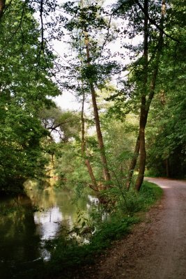 Gemütliche, helle kleine Wohnung für Single