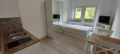 1-Zimmer-Appartement, möbliert mit Balkon in Weilrod