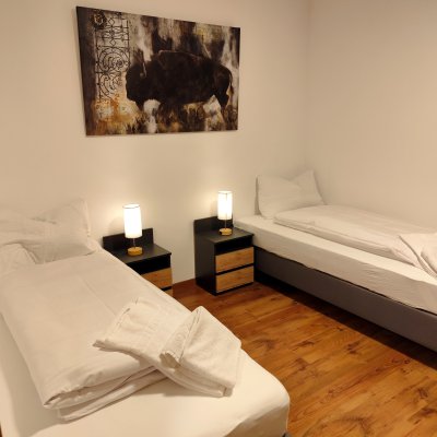 Voll möblierte und ausgestattete 2-Zimmer-Wohnung für 2 Personen, Betten trennbar, Spül- und Waschmaschine, Netflix, MagentaTV, Homeoffice, Balkon