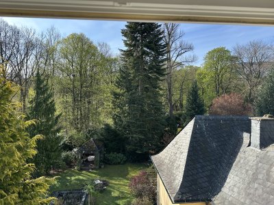 2,5 Zimmer Wohnung am Grüngürtel der Stadt Goslar