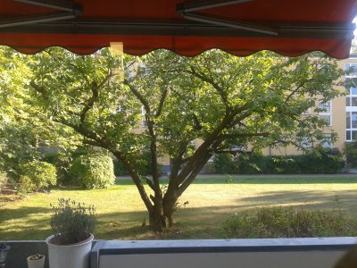 Die Wohnung zum verlieben