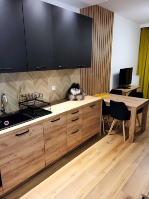 Sehr schöne 1,5-Zimmerwohnung in Ahaus mit EBK und Balkon