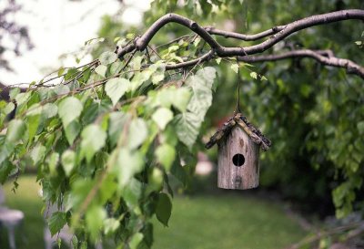Ihr individuelles Traumhaus - Mit Bien-Zenker in die Zukunft
