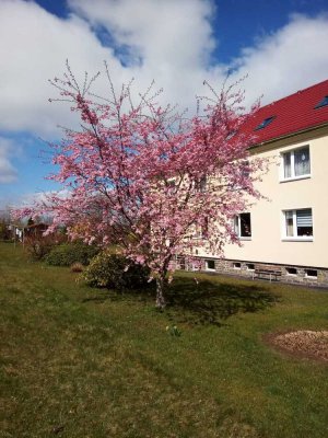 helle Erdgeschosswohnung in Witzschdorf , auf dem Land und trotzdem nah dran