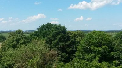 Hell-Sonnig-Ruhig, Parkett, Mü-West 3 Zi +Wohnküche, weiter Blick (Bäume+Berge), mod. Lift