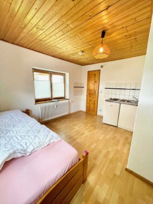 1 Zimmer Apartement