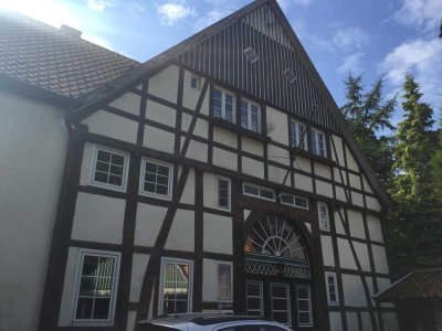 Gemütliche 2-3-Zimmer-Dachgeschoss-Wohnung in Detmold Berlebeck