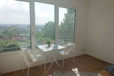 1-Zimmer Apartment mit großartiger Aussicht