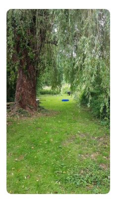 Modernisiertes Reihenmittelhaus mit schönem Garten