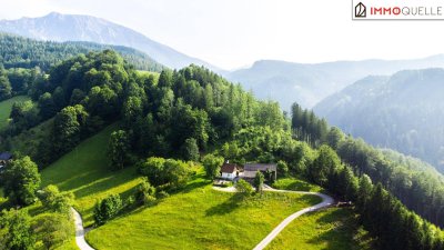 Das Privileg, allein zu sein – und doch verbunden mit allem