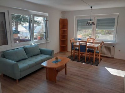 Sonnige 2,5-Zimmer-Einliegerwohnung mit Einbauküche in Thalfingen