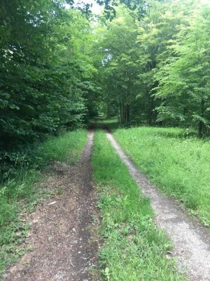 Bien-Zenker EVOLUTION 154  Ihr individuelles Zuhause in Külsheim