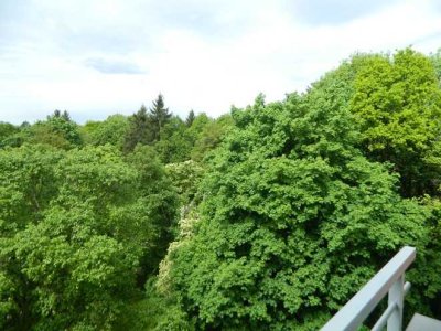 Stillvolle 3-Zimmer-Wohnung mit Balkon, Aufzug &Top-Ausstattung in Forstenried