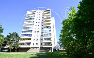 Renovierungsbedürftige 3-Zimmer-Loggia-Wohnung in guter Lage!