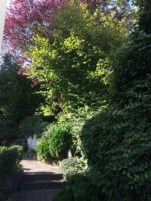 TOPP: Lichtdurchflutete schicke 1-Zimmerwohnung nur an Nichtraucher/-IN (Stuttgart-Kaltental)