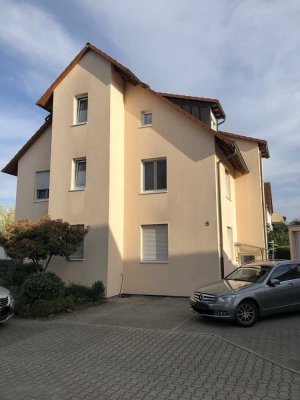 Modernisierte 2-Raum-Wohnung mit Terrasse in Mannheim-Seckenheim