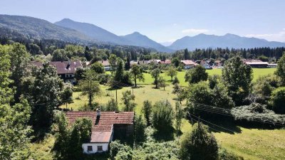Kleines Sacherl mit viel Potential