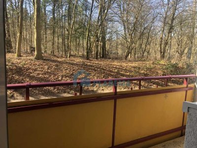 Hochparterre mit Balkon!