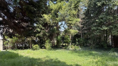Privates Wohngefühl auf höchstem Niveau – Gartenwohnung mit allem, was das Herz begehrt | ZELLMANN IMMOBILIEN