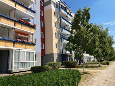 ++ 3 Zimmer frisch renoviert mit Balkon ++