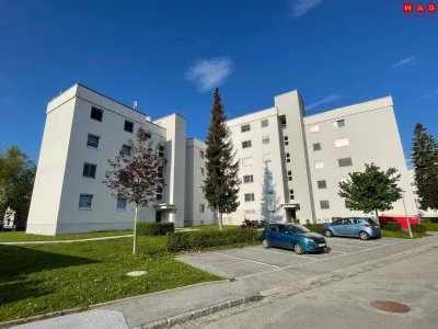 XL-Familienwohnung, Küche, 4 Zimmer im Hochparterre, Balkon und Lift