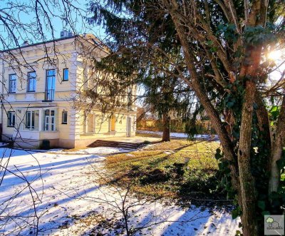 REPRÄSENTATIVE STADTVILLA IN MÖDLING- Perfekt für Wohnen &amp; Arbeiten