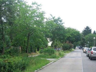 - Gepfl. Einfamilienhaus mit schönem Garten, Terrasse, Garage u.Keller