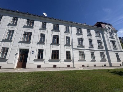 Renovierte Altbauwohnung 2 Zimmer