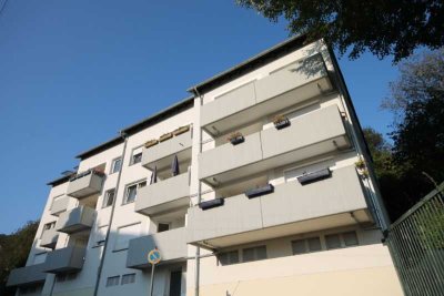 Ihr neuer Lieblingsplatz in der Forststraße