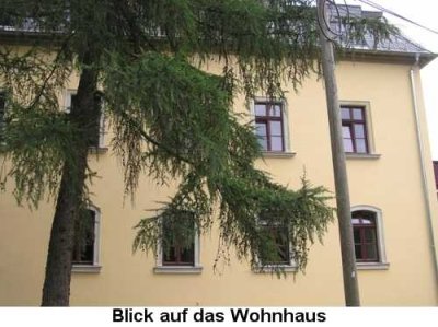 2 Zimmer Wohnung mit Balkon mit EBK