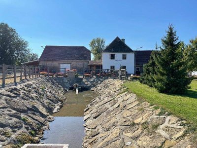 Historische Mühle - Pferdehaltung