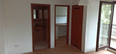 Geschmackvolle, vollständig renovierte 1-Raum-Wohnung mit EBK in Stuttgart