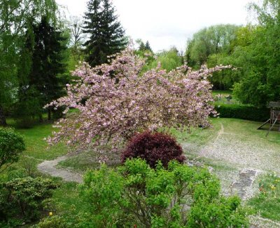 Schöne 2-Zimmerwohnung mit Sonnenterrasse und herrlichem Ausblick in den großen parkähnlichen Garten