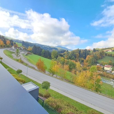 Nellingstrasse 49/12