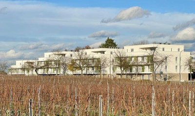 Penthouse mit phantastischem Fernblick - Aufzug - und Tiefgarage WE44