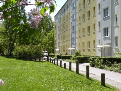3-Raumwohnung in Knieper West zu vermieten!