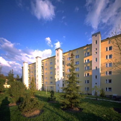 Schöne 3-Zimmer-Wohnung in der Enoch-Widman-Straße
