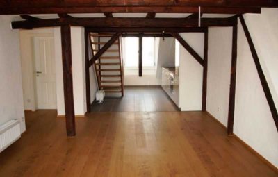 Traumhafte Wohnung mit moderner Ausstattung u. historischer Architektur. Stadtnah. Provisionsfrei!!