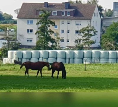 Erstbezug nach Komplettsanierung - 3,5-Zimmer-Wohnung in Sulzbach