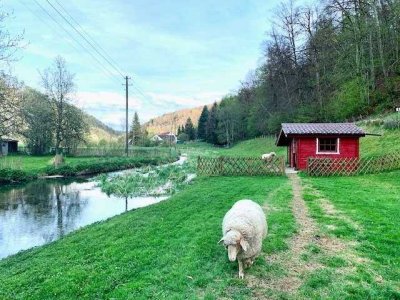 Gemütliche DG-Wohnung im schönen Lautertal in Blaustein