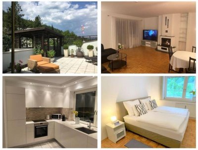 Exklusive Dachterrassenwohnung mit Kamin und großzügigen Außenflächen in sehr ruhiger Lage von Viktring