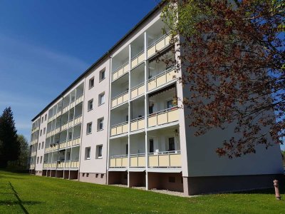 Schöne DG-Wohnung am Rande von Zwickau! Neuer Preis!!!