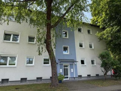 Lust auf eine günstige 3-Zi.-Wohnung! Behindertengerecht...