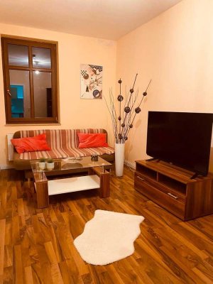 Möblierte 39 qm Wohnung in Leipzig West