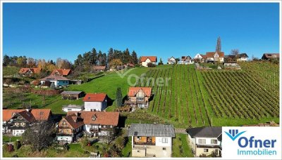 Haus in den Weinbergen